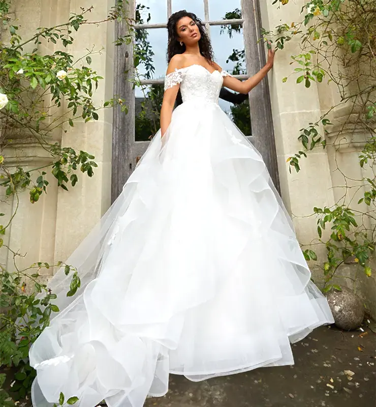 Ball Gown Wedding Dress
